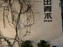 -日出青木