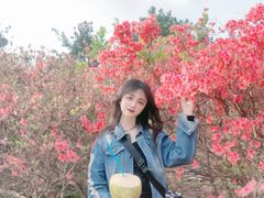 -木兰云雾山