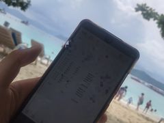 -珊瑚岛