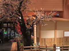 -北方暖暖温泉度假洗浴