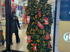 -浦江城市生活广场(江月路店)