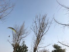 -白鹭湾湿地公园