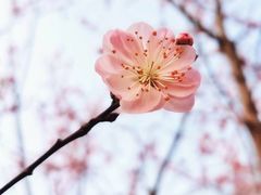 -黑皮酸菜鱼(绣花巷店)