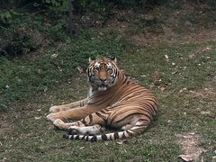 -深圳野生动物园