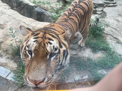 -大连森林动物园