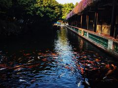 -宝墨园景区