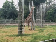 -石家庄市动物园