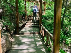 -大岭沟猕猴桃谷风景区