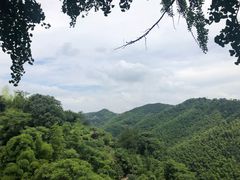 风景-鹿亭中村