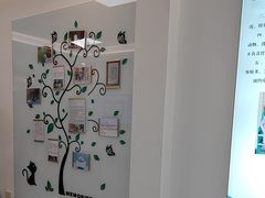 -北京观赏动物医院·24小时大型综合·猫专科·异宠专科