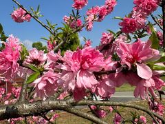 -洋湖国家湿地公园