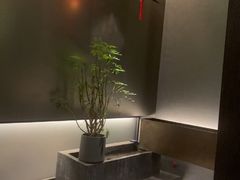 -望京辣宴·古法川菜(望京店)