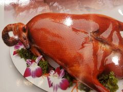 -潮喜竹溪荔湖酒家(荔枝湾店)