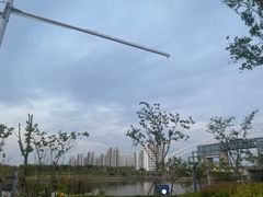 -上海海湾国家森林公园