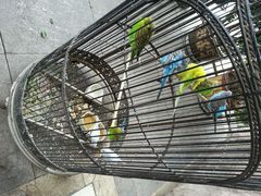 android_upload_pic-老味道民宿(栈桥店)