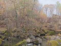-茅兰沟国家森林公园