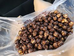-源宗盛粽子汤圆