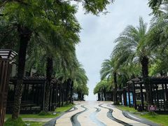 -马銮湾景区
