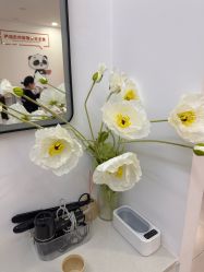 -洗脸熊·洗脸吧