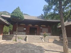 -王莽岭风景区