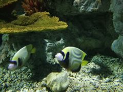 -福州罗源湾海洋世界旅游区