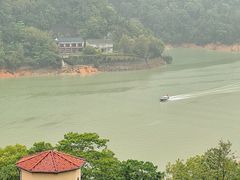 -河源万绿湖美思威尔顿酒店
