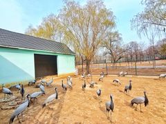 -秦皇岛野生动物园