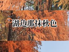 -提亚烘焙·手作面包·生日蛋糕(七星店)