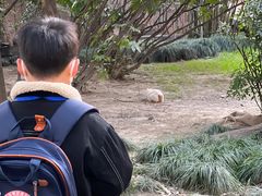 -Angel Garden天使花园幼儿园