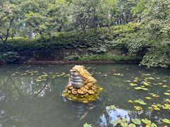 -句容茅山景区