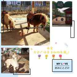 -萌宠亲子动物乐园(槐房万达店)