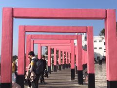 -漳州滨海火山岛自然生态风景区