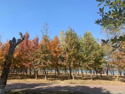 -常熟时代医疗美容