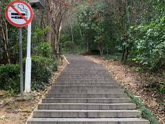 -上海佘山国家森林公园西佘山园