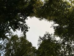 -大泽山风景名胜区