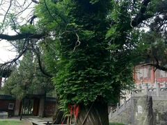 -中岳庙