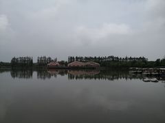 -上海长兴岛郊野公园