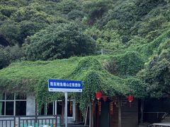 -鲤鱼塘农家山庄