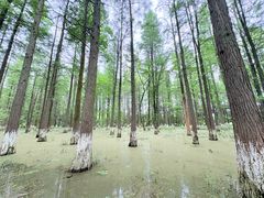 -艾溪湖湿地公园