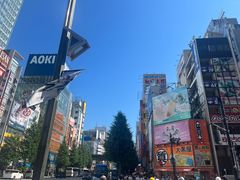 -秋叶原电器街