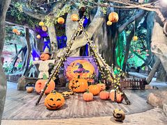 -横店影视城梦幻谷园区