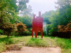 -东平国家森林公园