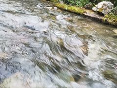 -源泉冷水鱼庄(小鱼洞店)