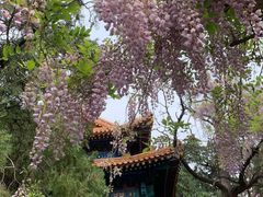 -北京国子监胡同