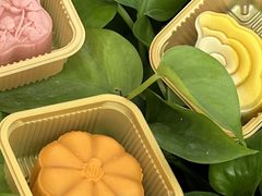 -沁园(南坪上海城店)