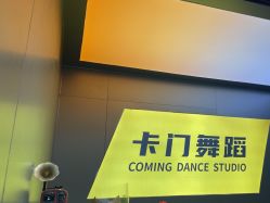 -卡门舞蹈