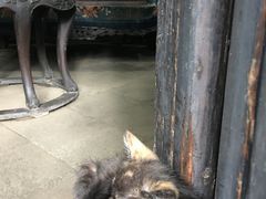 -西安化觉巷清真大寺