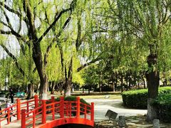 -玲珑塔公园