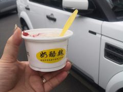 奶豆腐-奶酪魏(牛街总店)