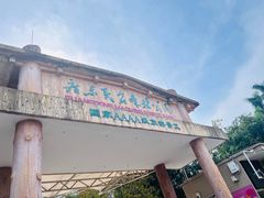 -广东茂名森林公园